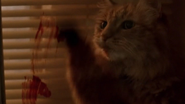 The General's Daughter - long-haired ginger cat smearing blood on window