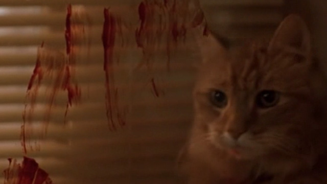 The General's Daughter - long-haired ginger cat behind bloody window
