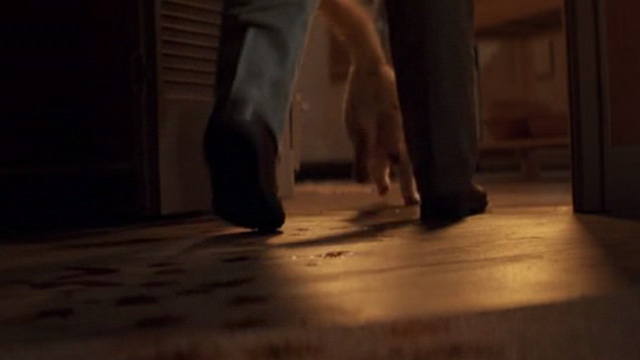 The General's Daughter - long-haired ginger cat running through house