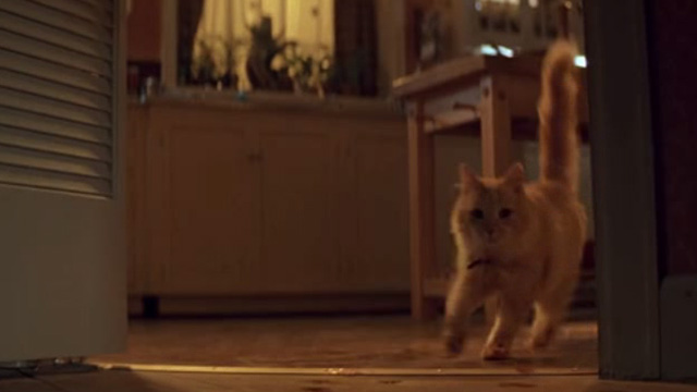 The General's Daughter - long-haired ginger cat turning corner in house