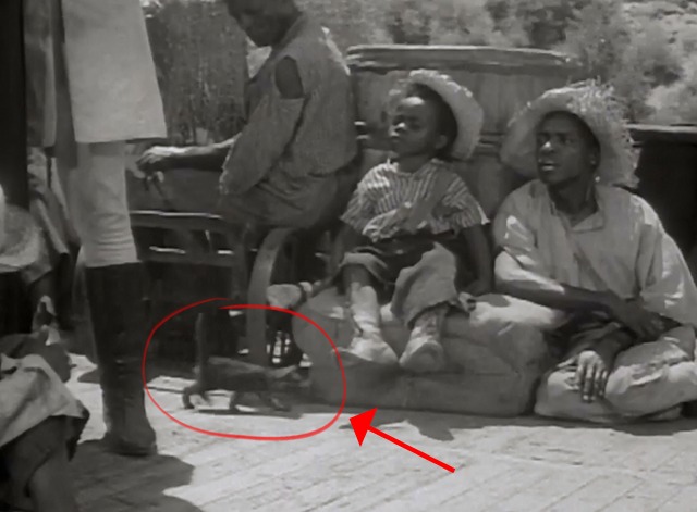 General Spanky - kitten walking past Buckwheat