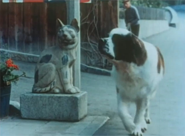 George - St. Bernard dog George standing next to cat statue