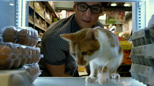 Geostorm - Cheng Daniel Wu watches as orange and white cat jump back inside refrigeration unit in convenience store