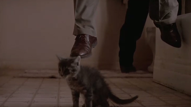 The Getaway - tabby kitten Kitty on bathroom floor beneath Harold's dangling feet