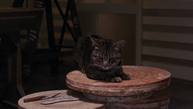 Ghost - tabby cat Floyd sitting on pottery wheel