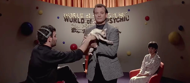 Ghostbusters II - Peter Venkman Bill Murray being handed hairless Cornish Rex cat on World of the Psychic
