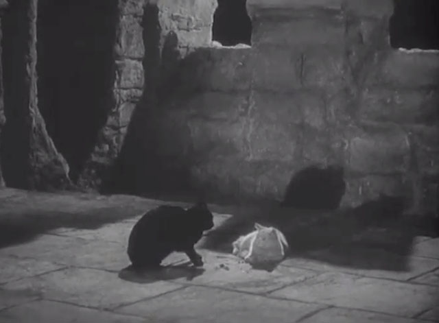 The Ghost of St. Michael's - black cat and white cat Antony and Cleopatra on roof