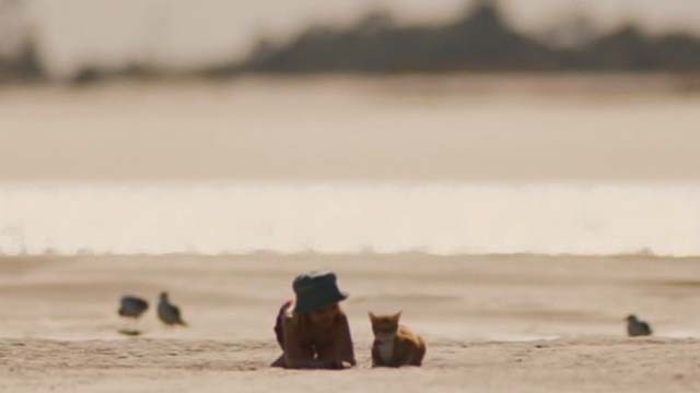 Gifted - one eyed cat Fred and Mary Mckenna Grace on beach