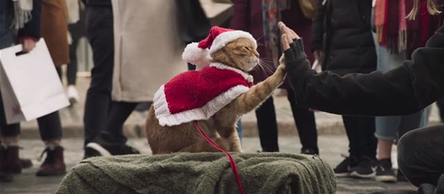 A Christmas Gift from Bob - James Bowen Luke Treadway high fiving ginger tabby street cat Bob wearing Santa suit