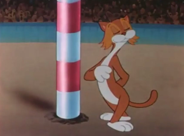 Ginger Nutt's Christmas Circus - Chester cat posing by pole