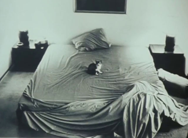 A Girl, She is 100%  - tabby and white cat lying on unmade bed
