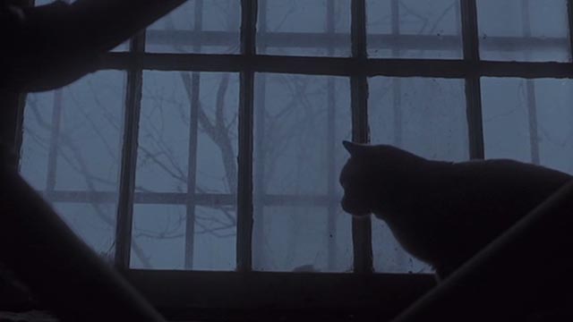 Girl, Interrupted - Ruby gray cat in window
