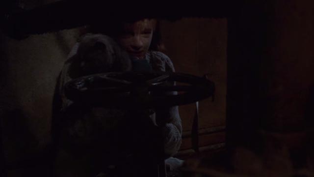 Girl, Interrupted - Polly Elizabeth Moss holding Ruby gray cat behind pipes