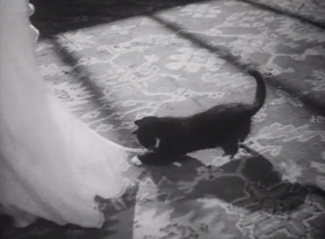 The Girl in the News - tuxedo kitten chasing hem of dressing gown