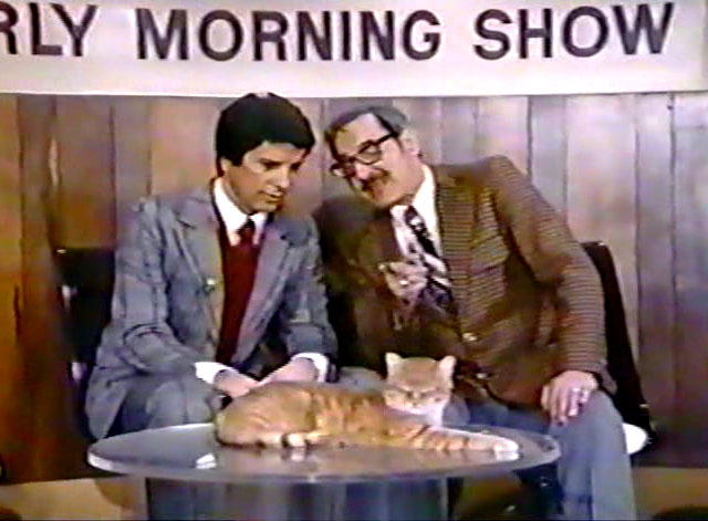 The Girl on the Late, Late Show - ginger tabby sitting on table in front of talk show host Bert Convy and psychiatrist George Fischbeck