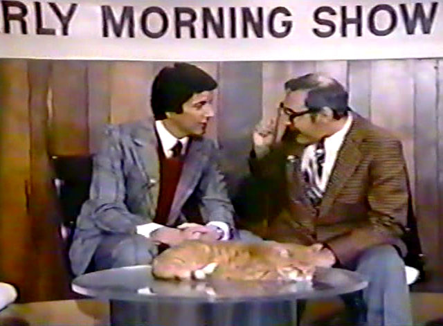 The Girl on the Late, Late Show - ginger tabby sitting on table in front of talk show host Bert Convy and psychiatrist George Fischbeck
