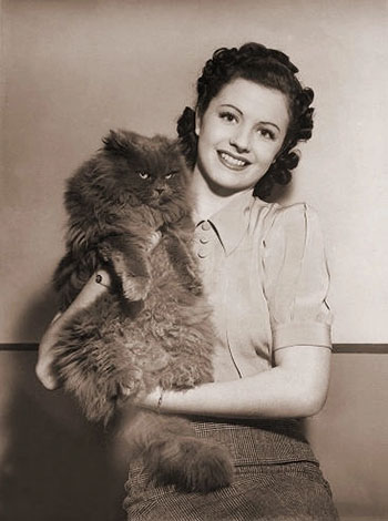 A Girl Must Live - Leslie Margaret Lockwood holding gray Persian cat Jennie publicity still