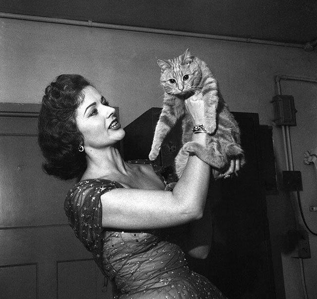 A Girl Must Live - Leslie Margaret Lockwood holding up pet tabby cat