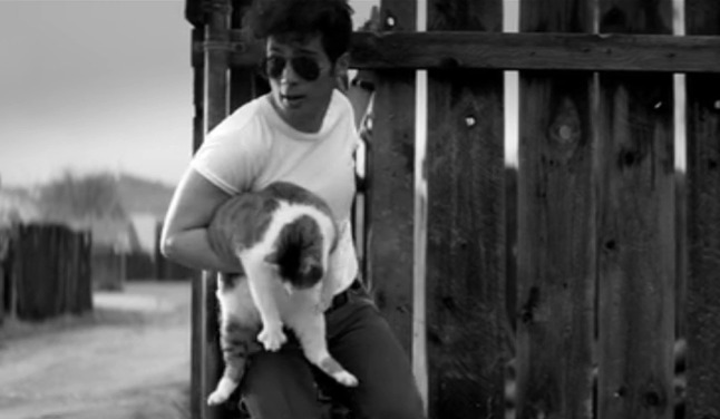 A Girl Walks Home Alone at Night - Masuka cat being carried through fence by Arash