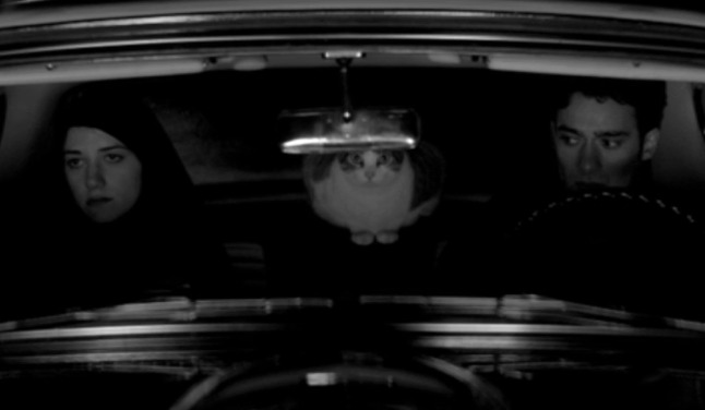 A Girl Walks Home Alone at Night - Masuka cat sitting in back of car with Arash and The Girl