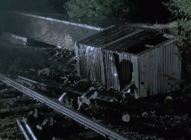 Give My Regards to Broad Street - multi-colored cat crossing train tracks