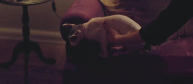Gloria - Gloria picking up hairless Sphynx cat from couch