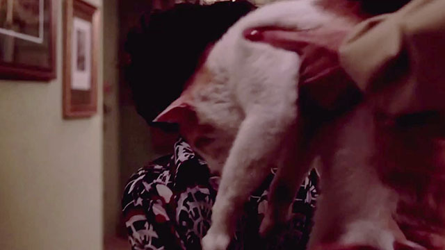 Gloria - Gena Rowlands dropping orange and white tabby cat into Phil's arms