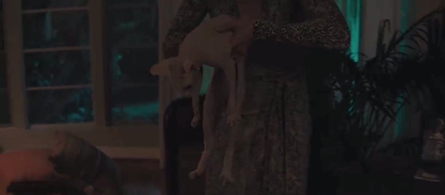 Gloria - Gloria Bell carrying hairless Sphynx cat on table