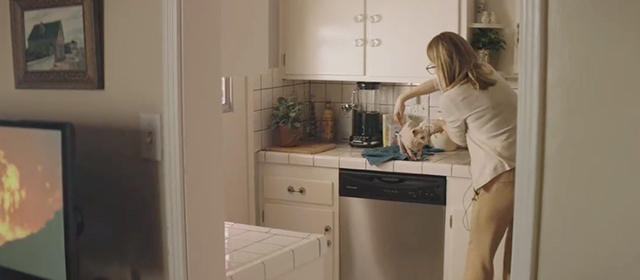 Gloria - Gloria Bell Julianne Moore picking up hairless Sphynx cat from kitchen counter