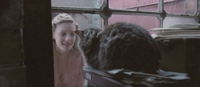 Glorious 39 - Anne Romola Garai looking in window at long haired tabby cat Sonia
