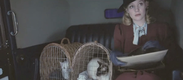 Glorious 39 - Anne Romola Garai with white cat Bombadier and Siamese cat Horatio in carriers