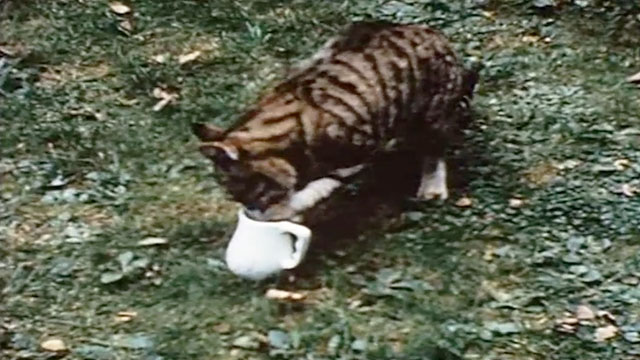 Glorious Devon in the 50's - tabby cat licking paw drawn from pitcher of cream
