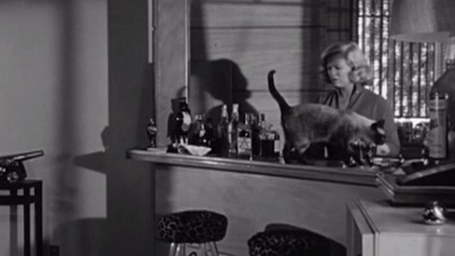 The Goddess - Emily Ann Faulkner Kim Stanley with Siamese cat on bar