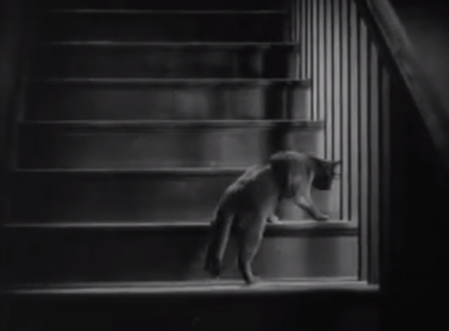 The Godless Girl - black cat on stairs