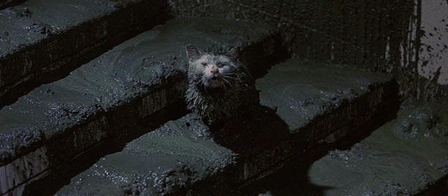 Godzilla vs. Hedorah Smog Monster - white cat sitting in sludge