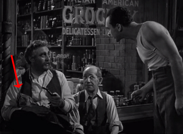 Golden Boy - tabby cat on lap of Mr. Bonaparte Lee J. Cobb outside store