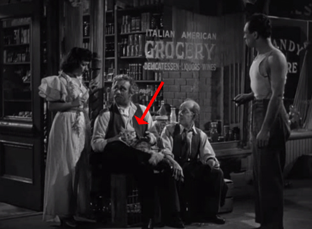 Golden Boy - tabby cat on lap of Mr. Bonaparte Lee J. Cobb outside store