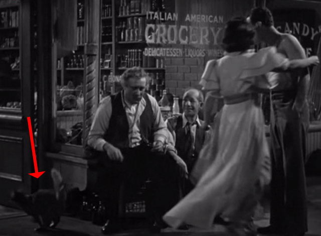 Golden Boy - tabby cat jumping off lap of Mr. Bonaparte Lee J. Cobb outside store