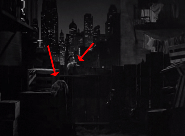 Golden Boy - cats on fence one jumping down with Joe Bonaparte William Holden