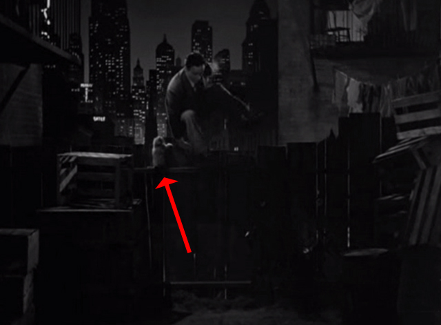 Golden Boy - Joe Bonaparte William Holden jumping over fence by cat