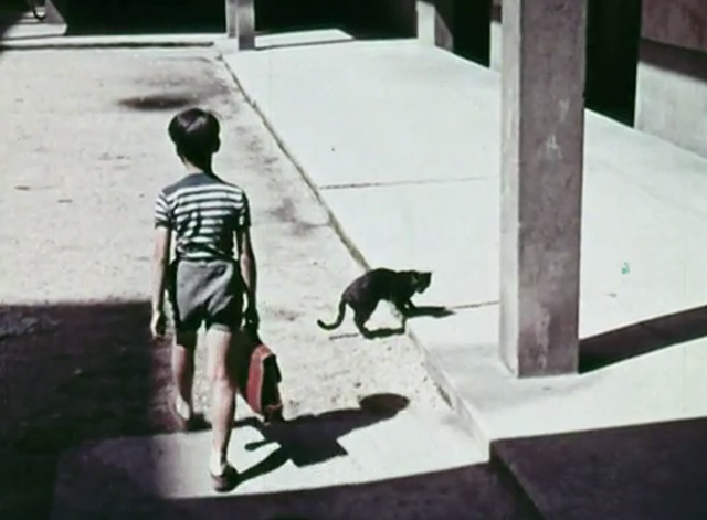 The Golden Fish - black cat passes little boy going to school