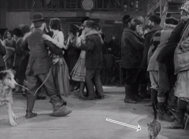 The Gold Rush - small tabby cat on dance floor with dog tied to Charlie Chaplin