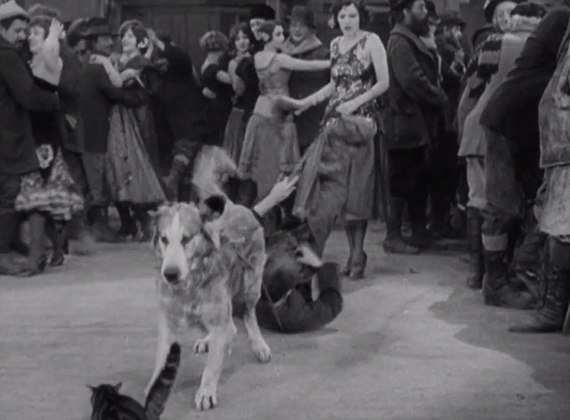 The Gold Rush - small tabby cat on dance floor with dog tied to Charlie Chaplin