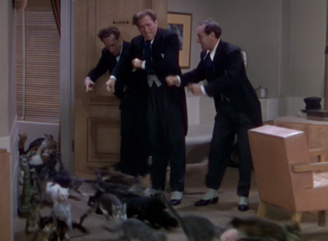 The Goldwyn Follies - cats flooding into office with The Ritz Brothers