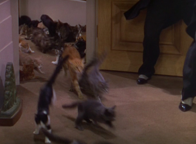 The Goldwyn Follies - cats flooding into office