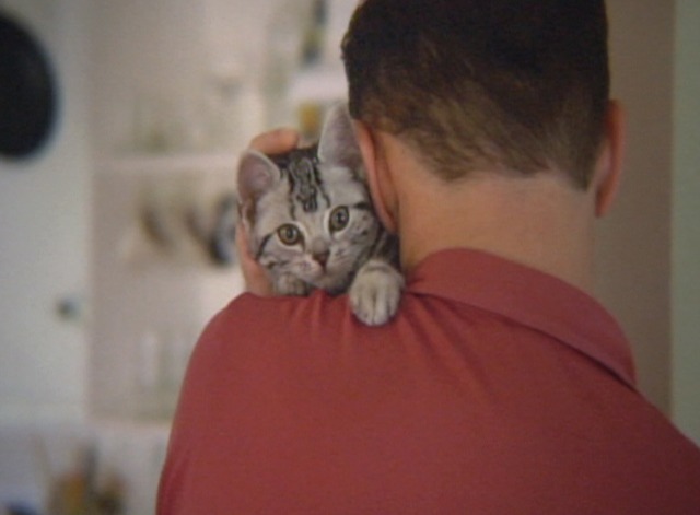 Goliath - Goliath II kitten on shoulder