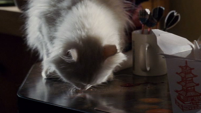 Gone Baby Gone - white long-haired cat licking blood from table