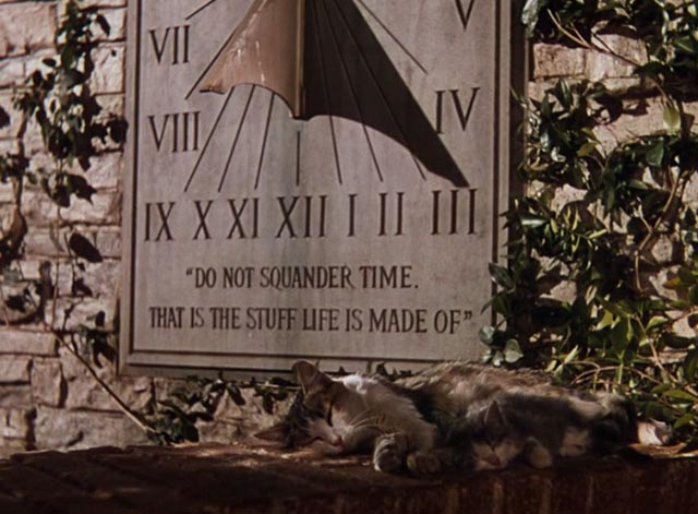 Gone With the Wind - cats sleeping in front of sundial