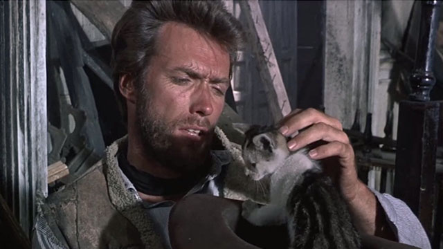 The Good, the Bad and The Ugly - Blondie Clint Eastwood with bicolor tabby kitten in his hat