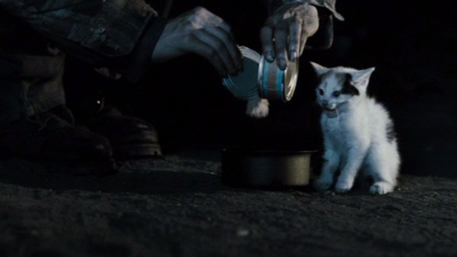 The Good Heart - white and calico kitten eating outside homeless shelter